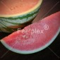 Wassermelonereife_3