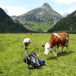 Landschaft