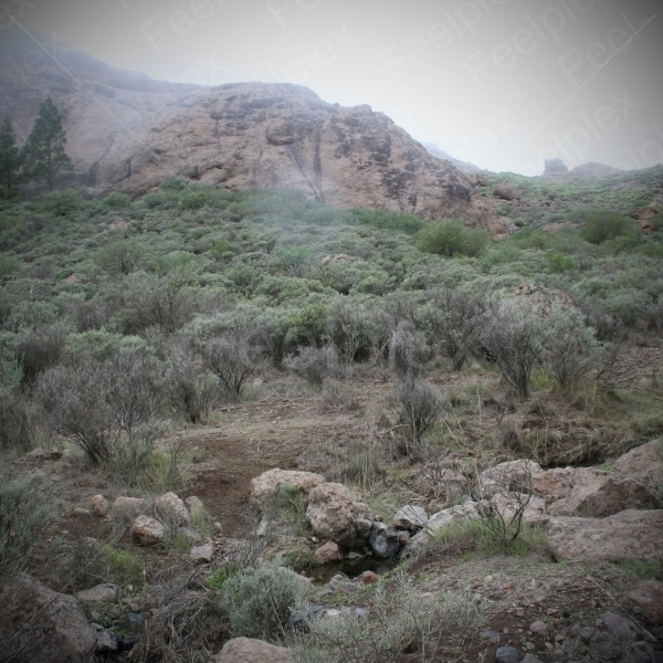 Bach auf Roque Nublo