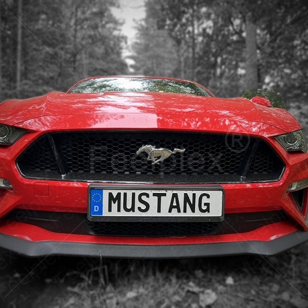 Freedom in Sound: Ford Mustang 5.0 GT V8 Cabrio
