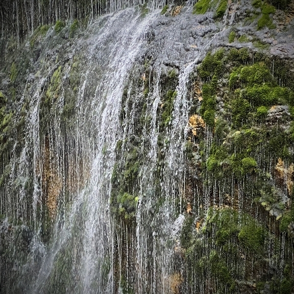 Schleierklang - Wasserrauschen am moosigen Pfad
