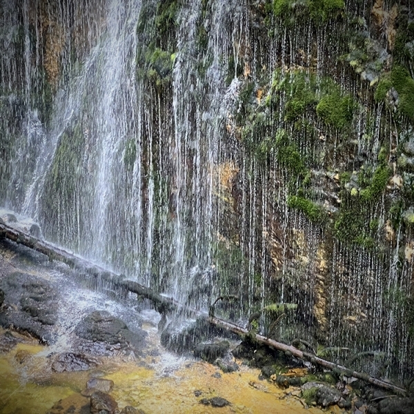 Schleierklang - Wasserrauschen am moosigen Pfad