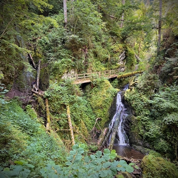 Lotenbach – Klang der wilden Schlucht
