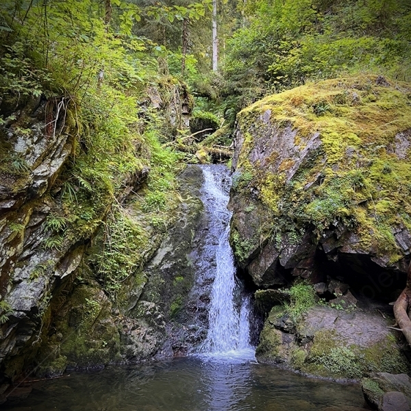 Lotenbach – Klang der wilden Schlucht