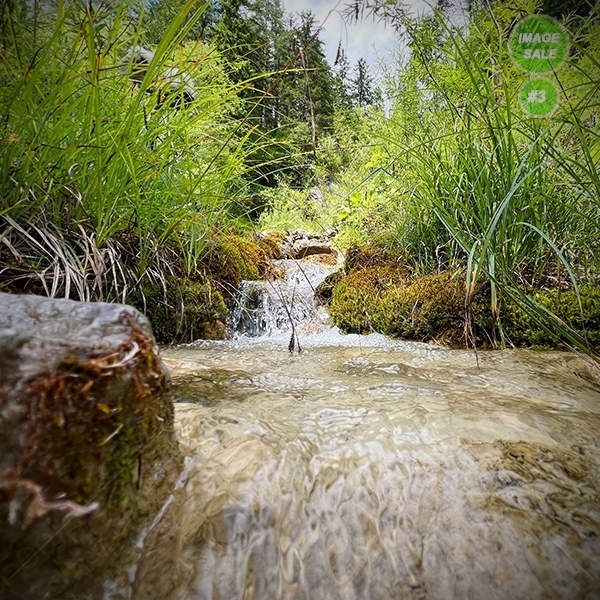 Kühgrabenklang – Bachüberquerung am Rauchboden