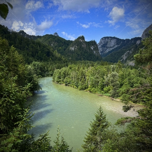 Aussicht am Leierweg – Klangblick ins Gesäuse