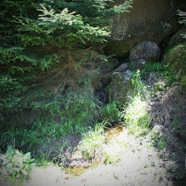 Steinerne Renne (Holtemme)