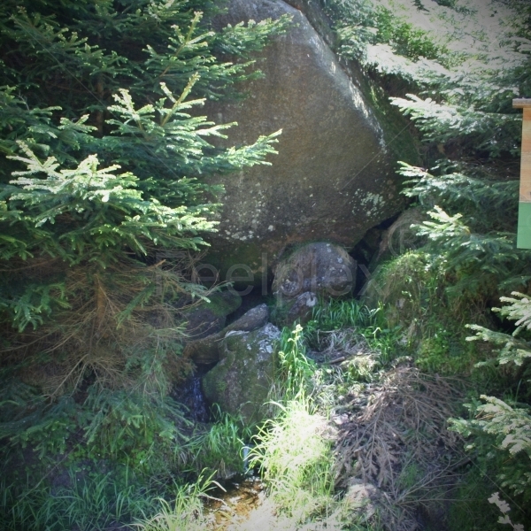 Steinerne Renne (Holtemme)