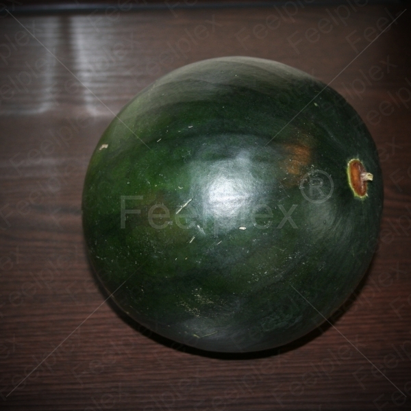 Klopfen auf Wassermelone