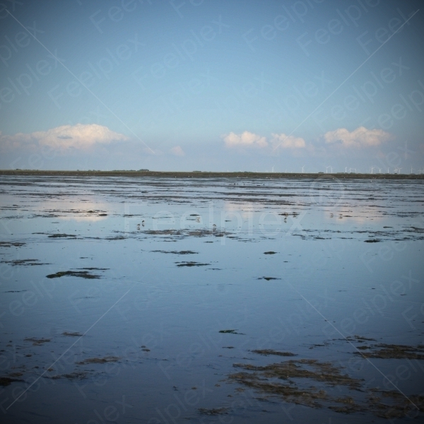 Wattenmeer Strand