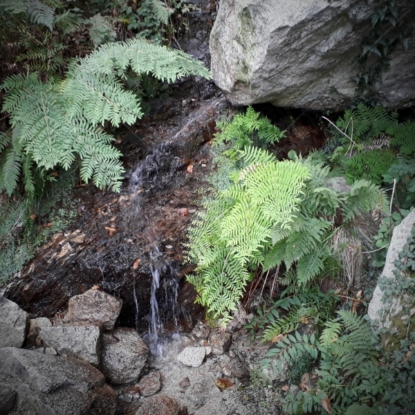 Wasserfall auf Montorfano
