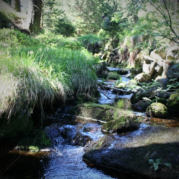 Wasserbach im Harz am Brocken