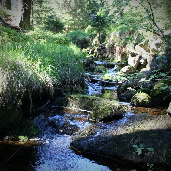 Wasserbach im Harz am Brocken