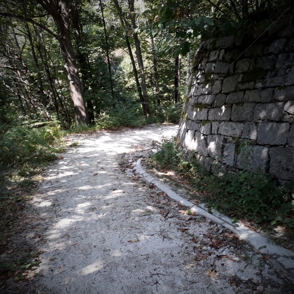 Wanderweg auf Montofarno