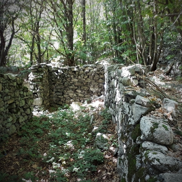 Wanderweg auf Montofarno