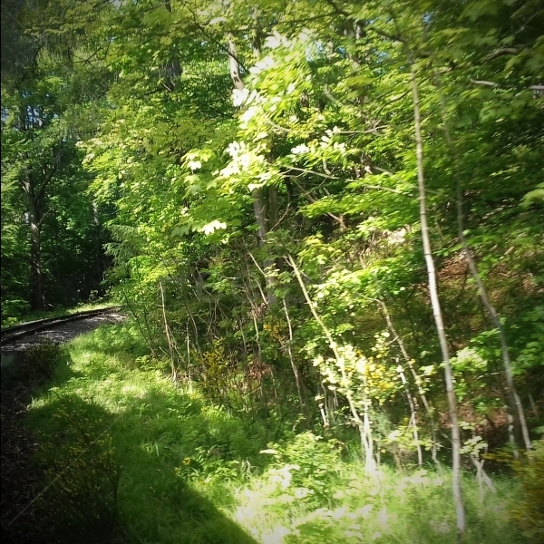 Fahrt mit Dampflokomotive