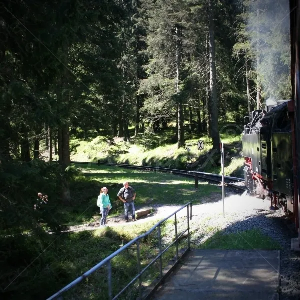 Steam Train Ride Between Two Carriages