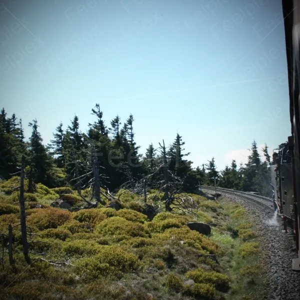 Steam Train Ride Between Two Carriages