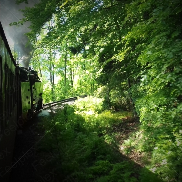 Fahrt mit Dampflokomotive