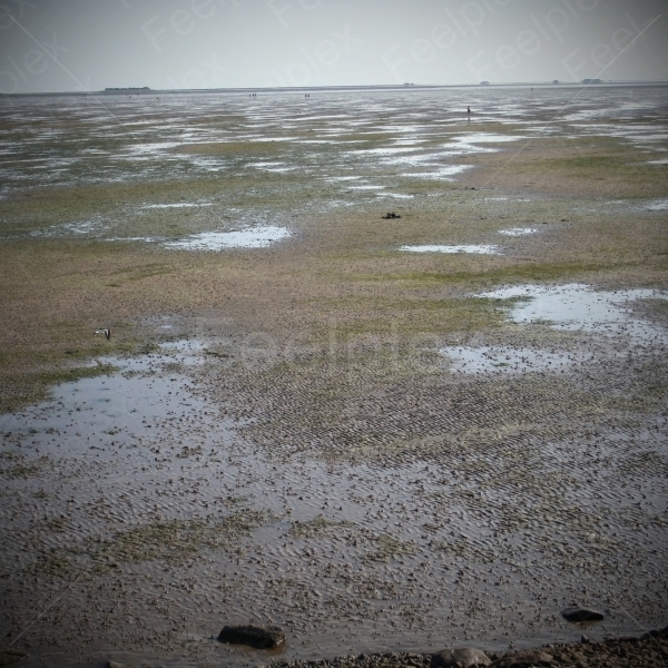 Barefoot Hike in the Mudflats