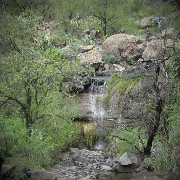 Wasserfall auf Gran Canaria