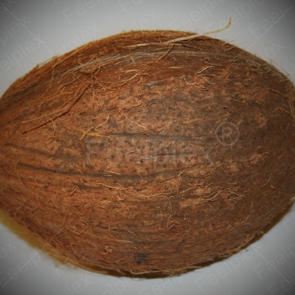 Kokoswasser / Kokosnuss