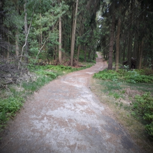 Felsenlandschaft der Sächsischen Schweiz