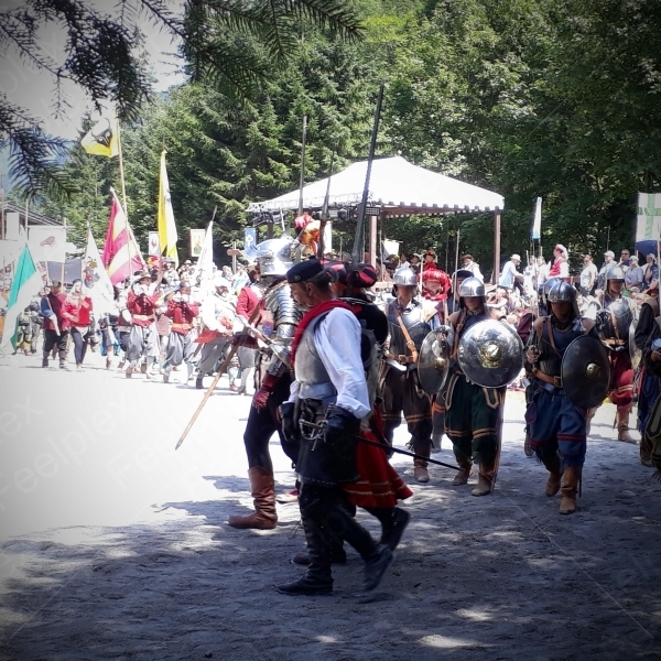 Führung der Feldheere