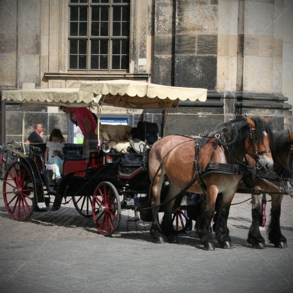 Romantische Kutschenfahrt