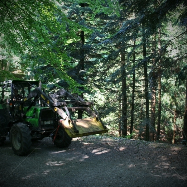 Traktorfahrt während der Holzarbeiten im Wald