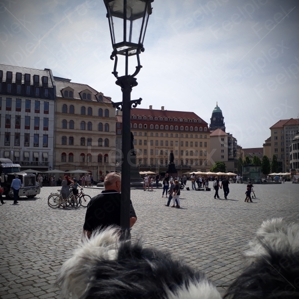 Altstadt Dresden