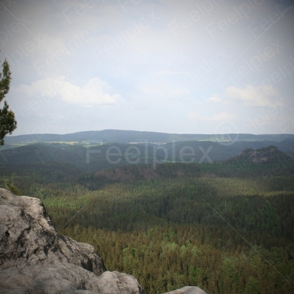 Häntzschelstiege im Elbsandsteingebirge