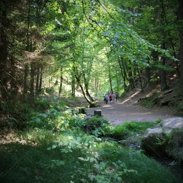 Der Wasserbach „Amselgrundbach“