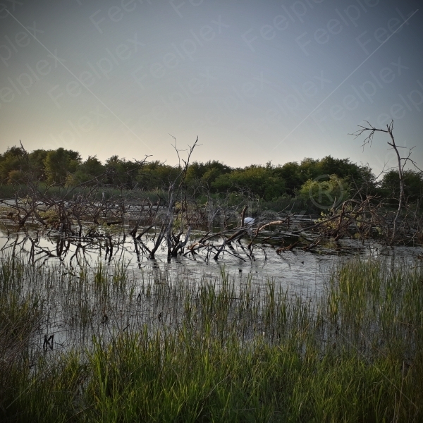 Sommerlicher Frühling am Winderatter See