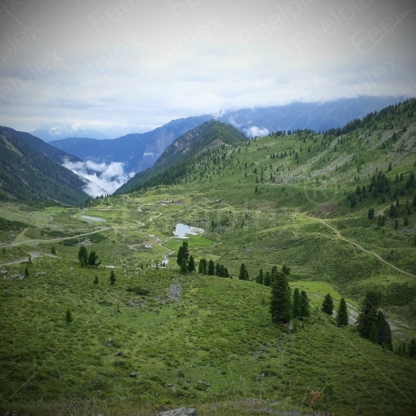 Klänge von Wind und Weide