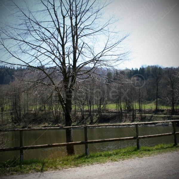 Naturbadesee - Guckaisee