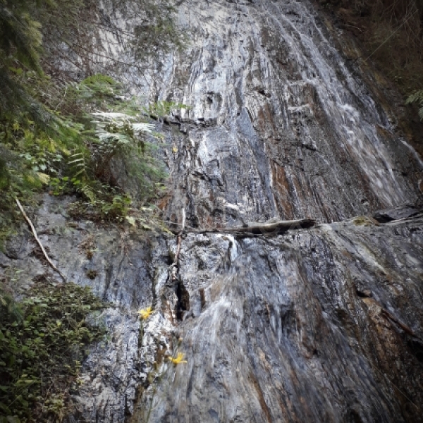 Wasserbach am Alpiner Wanderweg