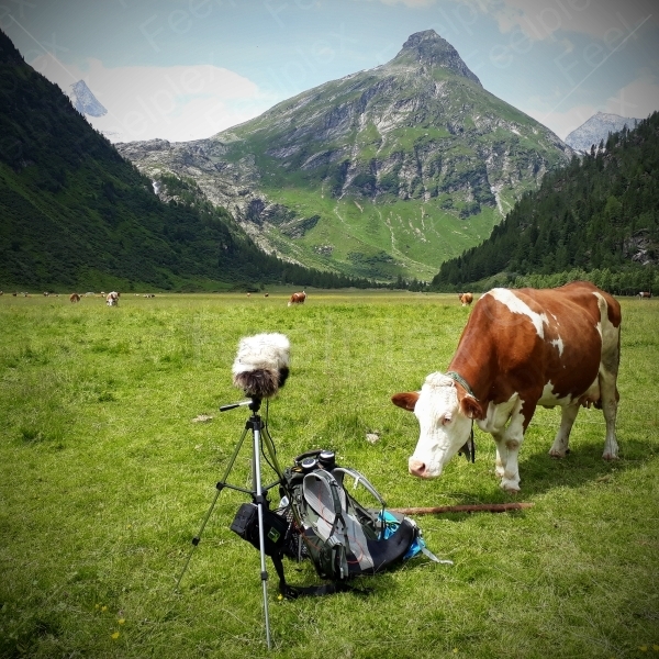 Osttiroler Gschlösstal