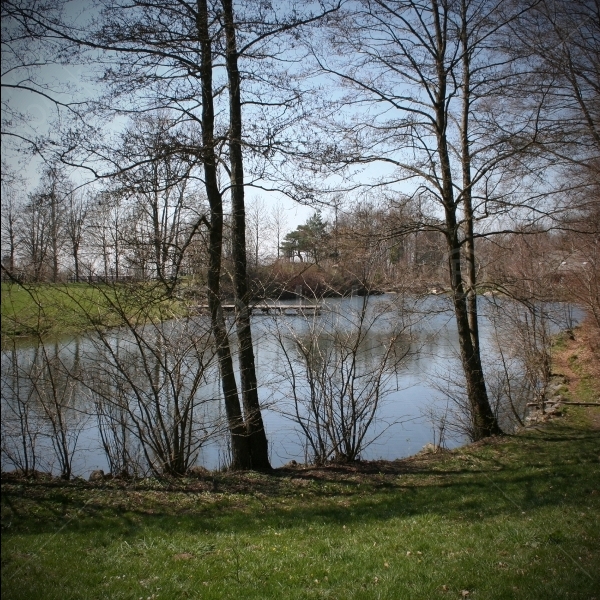 Naturbadesee - Guckaisee