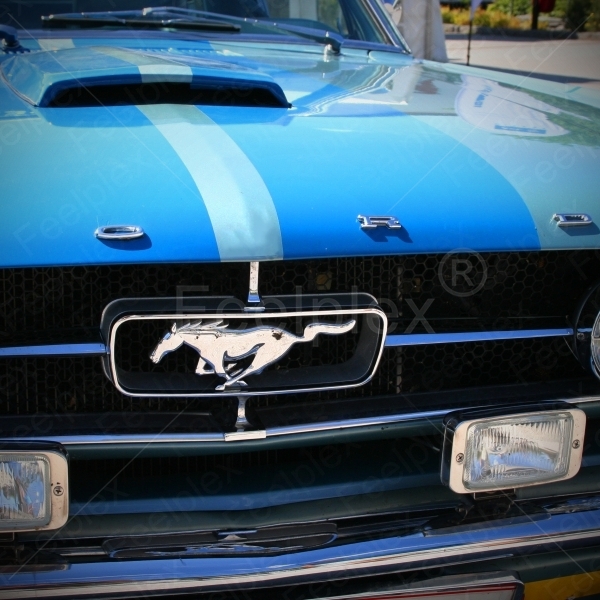 Ford Mustang Fastback Coupé