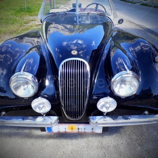 Jaguar XK 120 OTS SE - 1954