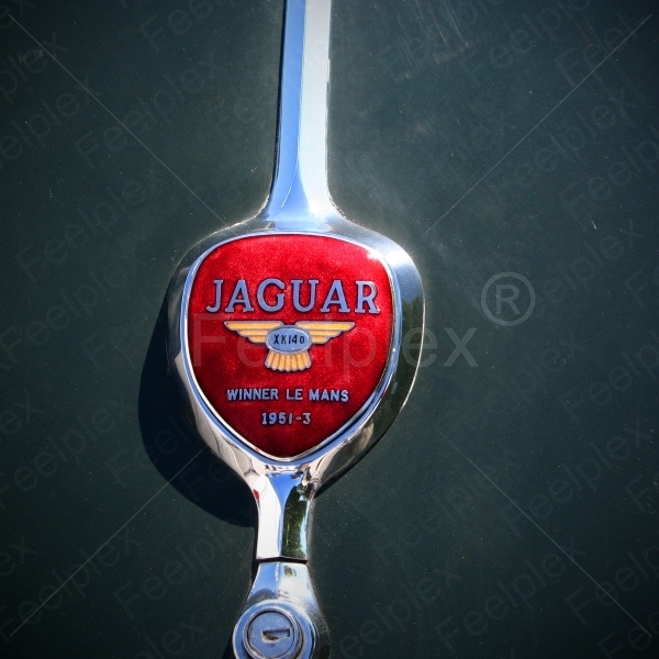 Jaguar XK 140 DHC - 1955