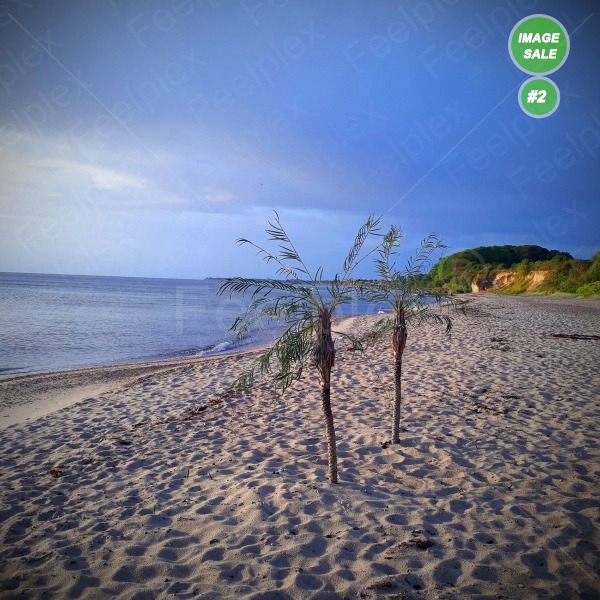 Mommark Strand – Als / Ostsee