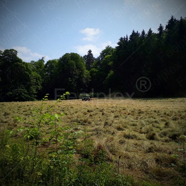 Traktor Kreiselheuer