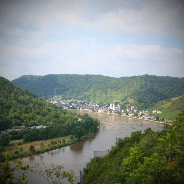 Weinberg / Buchsbaumwanderweg