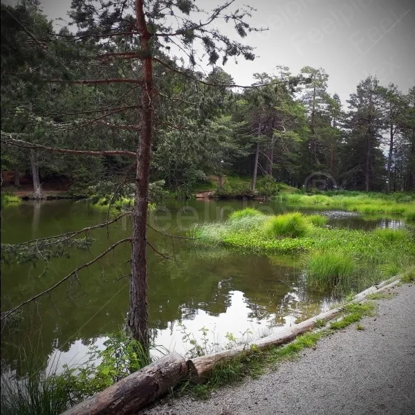 Möserer See
