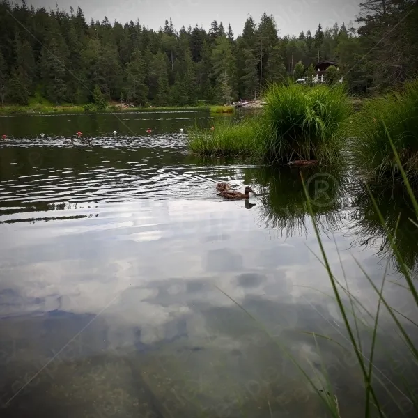 Möserer See