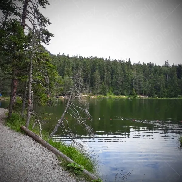 Möserer See