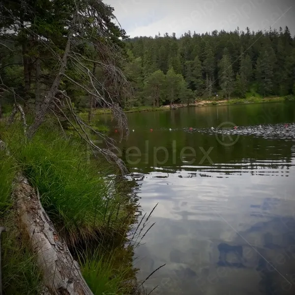 Möserer See