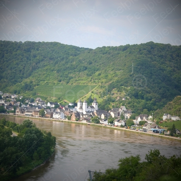 Weinberg / Buchsbaumwanderweg